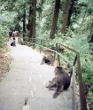 Emeishan, Sichuan China 15